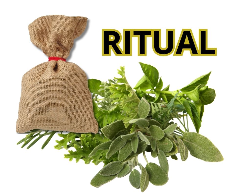 ritual con plantas magicas